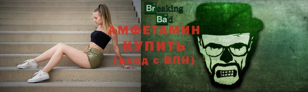 ECSTASY Алзамай
