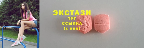 ECSTASY Алзамай