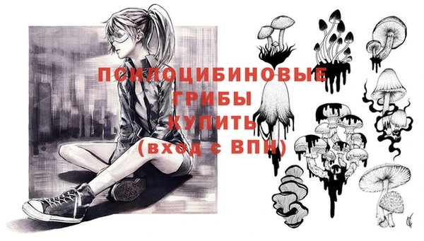 2c-b Дмитровск